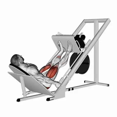 Animação: Leg press 45°